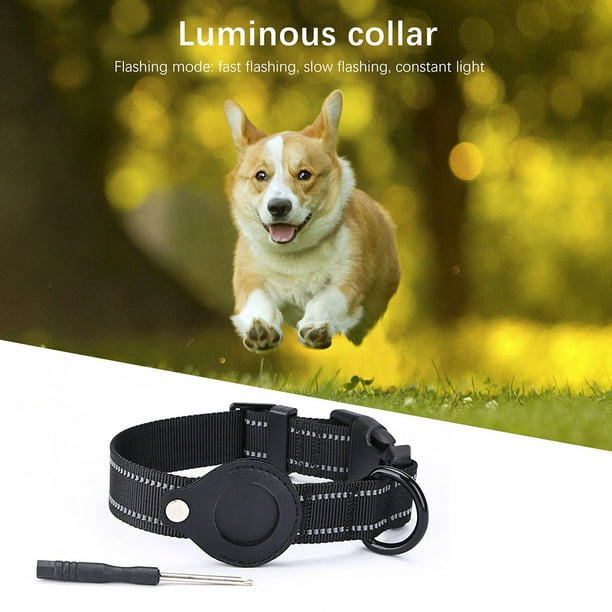Dog top collar locator