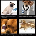 thumbnail image 5 of Pet knee brace, foot brace, leg brace sheath, 5 of 5