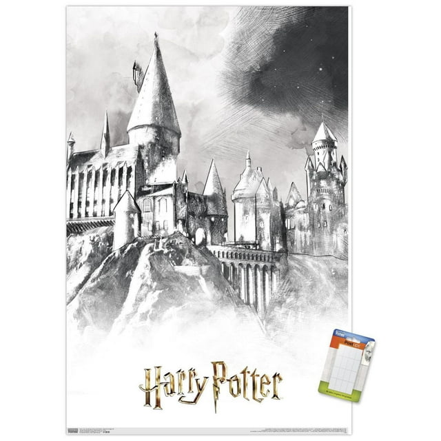 Le monde des sorciers : Harry Potter - Poudlard illustré