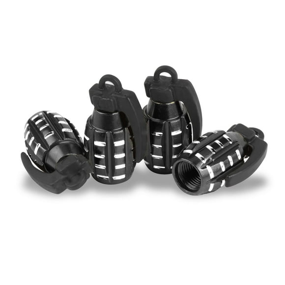Tapa de vástago de válvula de neumático SINGARO para coche, camión, SUV, motocicleta (4 unidades)