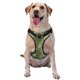 thumbnail image 1 of Fotbe Surfing Dinosaur Arnés para Perro con Estampado –Chaleco Ajustable Acolchado con Asa de Control para Perros Grandes-X-Large, 1 of 6