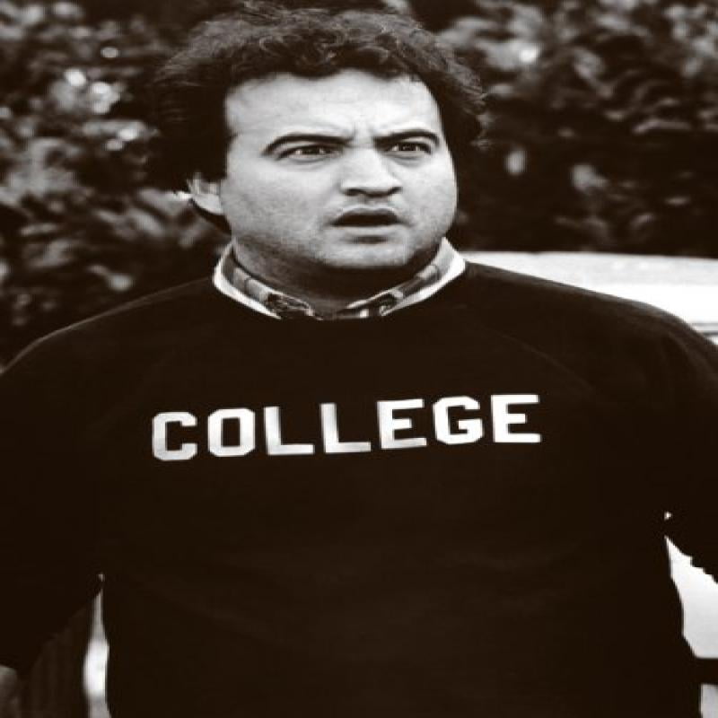 TOGA Animal House Movie Jim Belushi Picture TOGA Lightweight Beach Towel