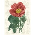 thumbnail image 2 of Vision Studio  12x14 White Modern Wood Framed Museum Art Print Titled - Peony Flower Garden I, 2 of 4