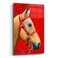 thumbnail image 2 of Epic Art 'Horse Portrait' by Ata Alishahi, Acrylic Glass Wall Art, 16"x24", 2 of 8