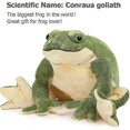 thumbnail image 3 of Giant Frog Stuffed Animal Frog Plush, Large Stuffed Frog Plush, Big Stuffed Green Frog Pillow For Kids, 22 Inch, 3 of 5