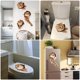 thumbnail image 5 of Wdftyju Calcomanías removibles autoadhesivas impermeables de la etiqueta engomada de la pared del PVC del animal del gato 3D (A Wdftyju 2mc4du2ep0mj7ud9D01, 5 of 9