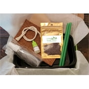 Microgreen Grow Kit--Speckled Peas. Your Microgreen Grow Kit contains everything that you need to grow your own nutritious food.