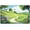 Emerald, variant on Rainforest 2026 Backdrop Emerald Waterfall Summer Forest Mountain River Vacation Religious Bible Background Baptism Party Decoration Banner Photo Booth Props