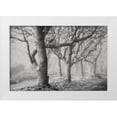 thumbnail image 3 of Vitaly Geyman 4x24 White Modern Wood Framed Wall Art Titled - Tree in the Mist BandW, 3 of 5