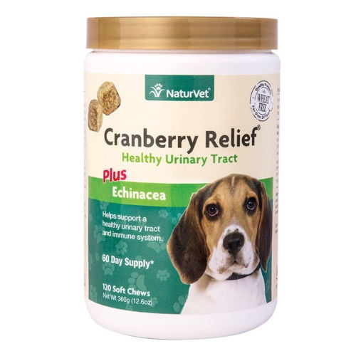 uti medicine for dogs walmart