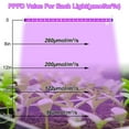 thumbnail image 5 of DONGPAI LED Grow Light Strips for Indoor Plants Full Spectrum, Auto ON & Off Timer Dimmable, Stick to Anywhere, USB Powered 42-288 LEDs Plant Lights for Indoor Growing, Red Blue, 5 of 8