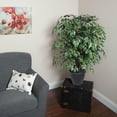 thumbnail image 3 of Vickerman 4' Artificial Variegated Ficus Extra Full Bush, Gray Round Plastic Container., 3 of 3