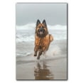 thumbnail image 3 of Funny Dog on Beach Canvas Wall Art, Belgian Tervuren Dog Picture Ocean Artwork for Bathroom Bedroom Living Room, Art Decor 8x12 Inches, 3 of 6