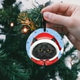thumbnail image 5 of WIRESTER Large 3 inch Acrylic Ready to Hang Ornament, Hanging Ornaments for Christmas Tree Holidays Party Home Office Xmas Tree Decoration Gift - Black Boombay Cat Sad, 5 of 7