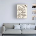 thumbnail image 3 of Vision Studio 'Sepia Exotic Plants VI' Canvas Art, 3 of 3