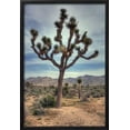 thumbnail image 2 of Joshua Tree Scene, Botanical Scenic World Culture Framed Art Print Wall Art by Vincent James Sold by Art.Com, 2 of 6