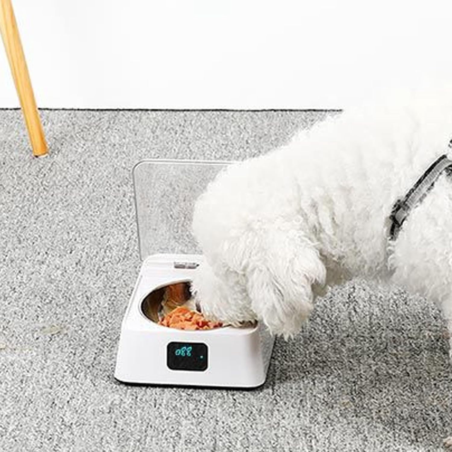 Infrared Sensor Automatic Cat Feeder with Removable Stainless Steel Bowl and Rechargeable Battery for Dogs and Cats