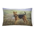 thumbnail image 1 of Almohada decorativa Caroline's Treasures Airedale Terrier, 1 of 3