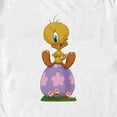 thumbnail image 2 of Men's Looney Tunes Easter Egg Tweety Graphic Tee White Large, 2 of 5