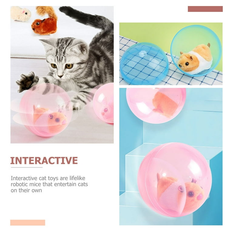 Cat sized hamster ball hot sale