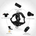 thumbnail image 3 of Exclusivo Mezcla Pet Harness and Leash Set, Adjustable Reflective Walking Dog Harness for Small Dogs, No Pull Soft Mesh Puppy Harness, Black, S, 3 of 7