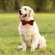 thumbnail image 3 of Corbata para perro, collar de perro HAOPINSH Corbata a cuadros para perro hebilla de corbata collar de perro ajustable ligero MFZFUKR CPB-US-YY605-5, 3 of 5