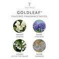 thumbnail image 3 of Thymes Goldleaf Perfumed Body Creme 9.25 oz, 3 of 5