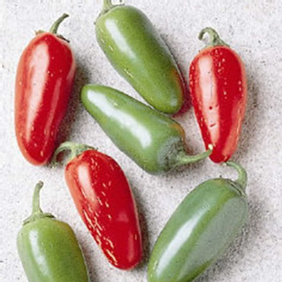 Early Jalapeno Hot Pepper Garden Seeds - 1 Lb Bulk - Non-GMO, Heirloom Vegetable Gardening Seed