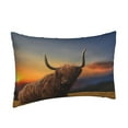 thumbnail image 2 of EasygdpYak Polyester Fiber Double-Sided Pillowcase,Super Soft,Comfortable And Luxurious Pillowcase,Not Easy To Break Or Deform- 16"X24", 2 of 9