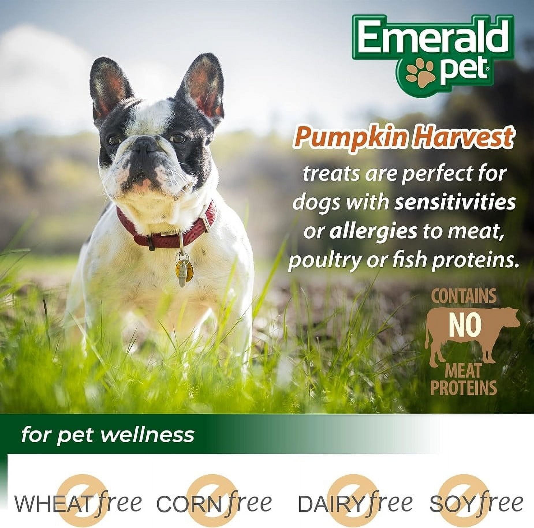 6 Pack Emerald Pet Pumpkin Harvest Mini Trainers with Mixed Berries Chewy Dog Treats [USA Dog Treats, Bulk Dog Supplies, New Dog Supplies, Emerald Pet] 36 oz (6 x 6 oz)