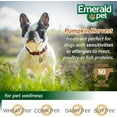 thumbnail image 4 of Emerald Pet Pumpkin Harvest Mini Trainers: Protein-Sensitive Dog Chew Treats, 4 of 4