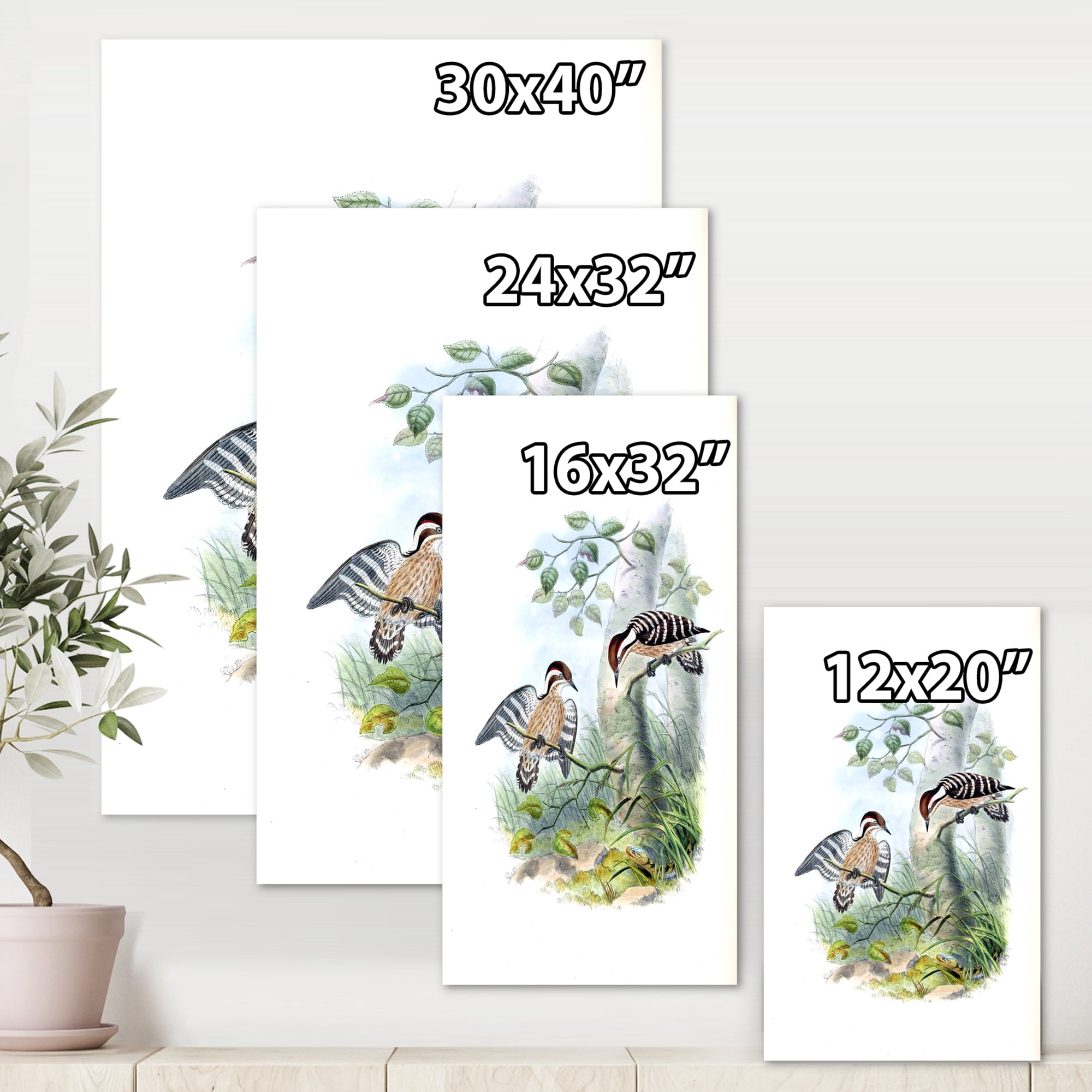 Designart ' Ancient Birds In The Wild I ' Traditional Canvas Wall Art Print