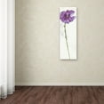 thumbnail image 3 of Trademark Fine Art 'Mint Poppies I in Purple Crop' Canvas Art by Chris Paschke, 3 of 3