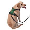 thumbnail image 3 of Bingfone St Patrick'S Day9 No Pull Dog Vest Harness For Small Medium Large Dogs Strap For Puppy Walking,Training,Dog Harness-Medium, 3 of 9