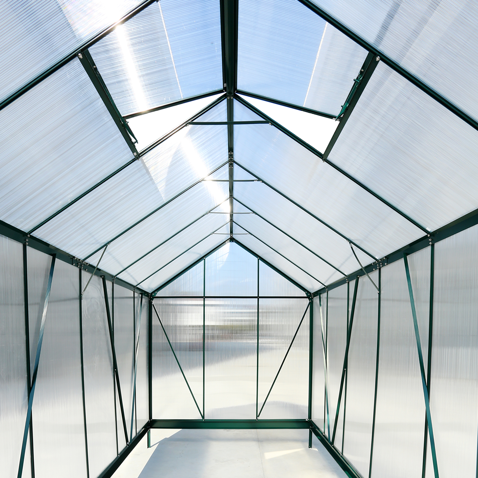Ataucjin Polycarbonate Greenhouse, Walk In Greenhouse With Rain Sink, Sliding Door, Transparent Polycarbonate Panels, Aluminum Frame, Vent, Waterproof Outdoor Greenhouse