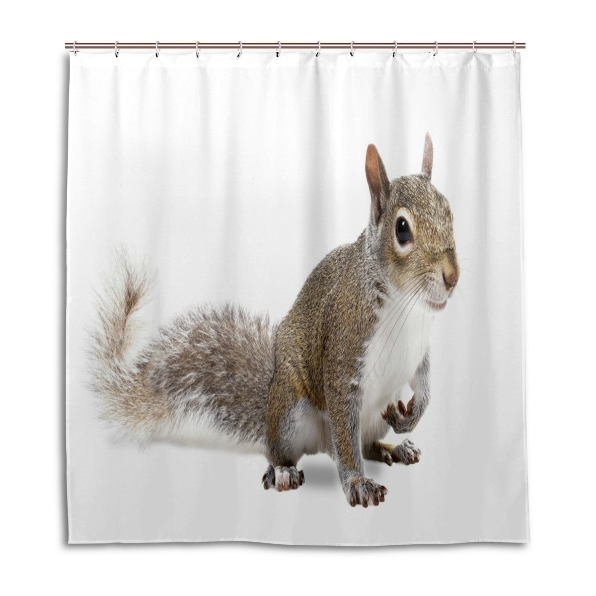 Popcreation Squirrel Shower Curtain Waterproof Bathroom Shower