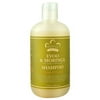 Nubian Heritage Repair & Extend Shampoo, EVOO & Moringa, 12 fl oz