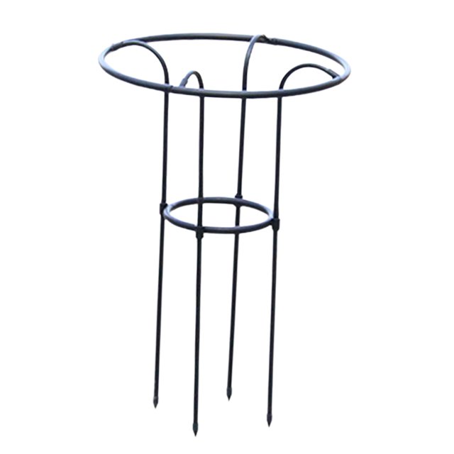 QualitChoice Plant Climbing Support Trellis 70 cm Iron Pipe Plastic Tomato Cage