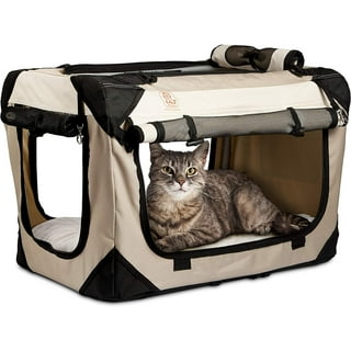 Cat carrier cheap clearance as chips