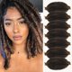 thumbnail image 1 of Marley Twist Cabello trenzado 12 pulgadas 7 paquetes Ombre Brown Spring Twist Hair Springy Afro Twist Hair Soft Marley Hair para envolver Locs Extensiones de cabello Cuban Twist (12 pulgadas T30), 1 of 5