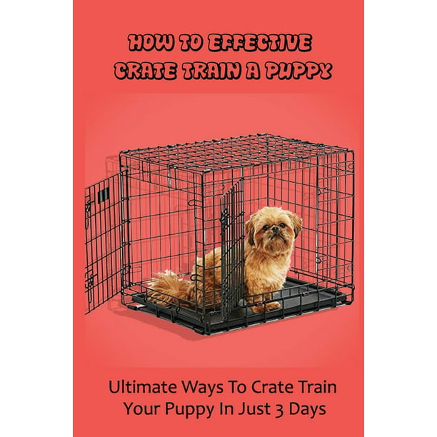 how do i crate train my puppy at night