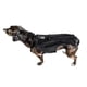 thumbnail image 3 of Soporte para La Espalda del Perro para IVDD, Soporte para La Espalda del Perro Mascota ArnéS de Cuerpo Completo CóModo Ropa para Perros Protector de Espalda para Perros L, 3 of 10