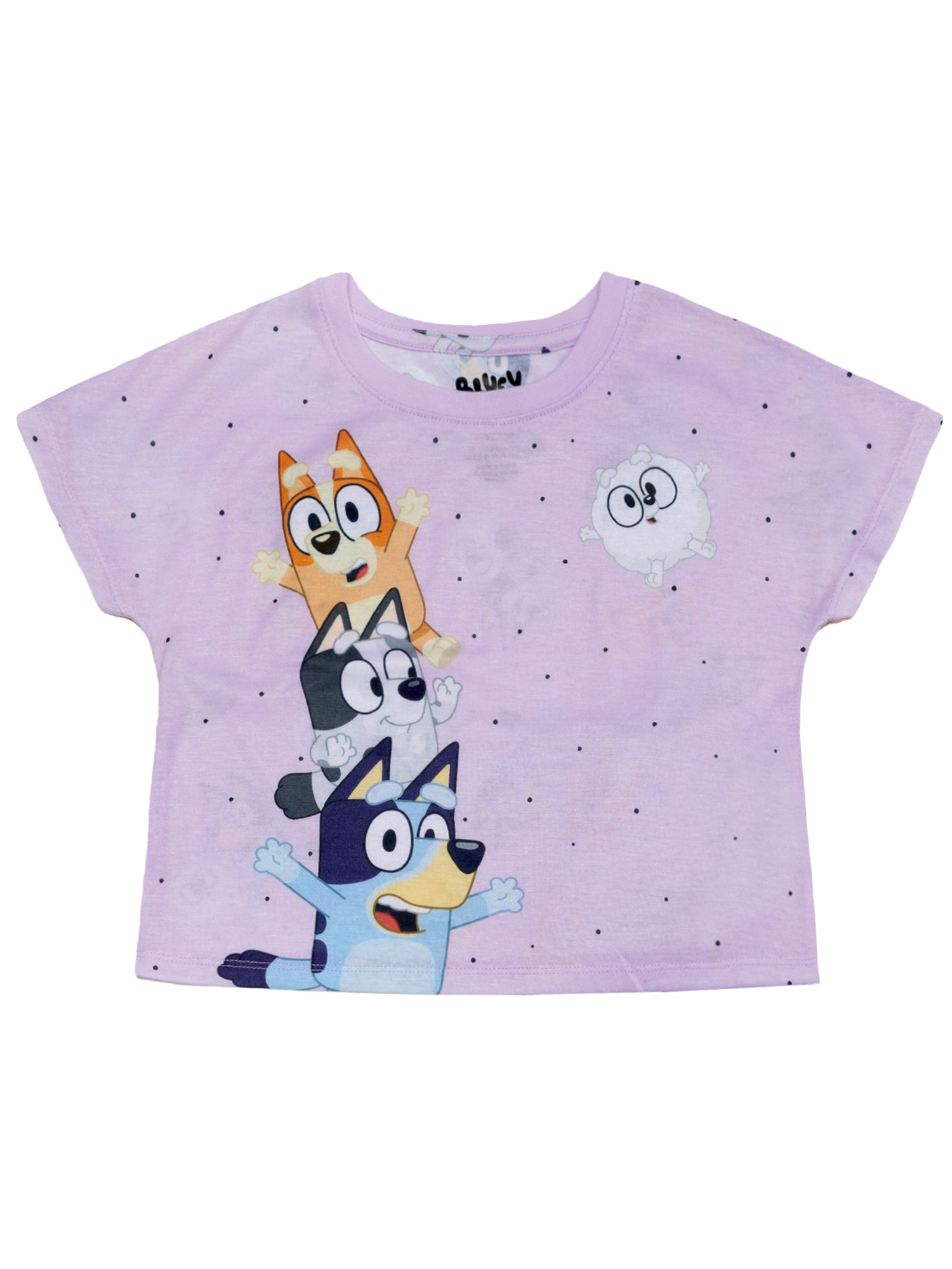 Bluey Girls 2-Piece Jersey Short Sleeve Top and Pant, Sizes 4-12