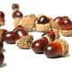thumbnail image 1 of 50 piezas de bellotas artificiales con tapa de bellota natural, bellota falsa para decoración del hogar, hogar, cocina, decoración de Navidad, mesa de otoño, manualidades de dispersión. Adepaton HFP-0433, 1 of 7