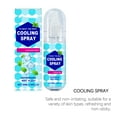 thumbnail image 6 of Jesscasday Travel Sized Cooling Sprays Car Seat Coolant Mists Quick Cooling Agent Weather, 6 of 12
