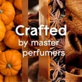 thumbnail image 5 of Glade Pumpkin Spice Things Up Scented Wax Melts Refills, 3.1 Oz. (8 Cubes), 5 of 6