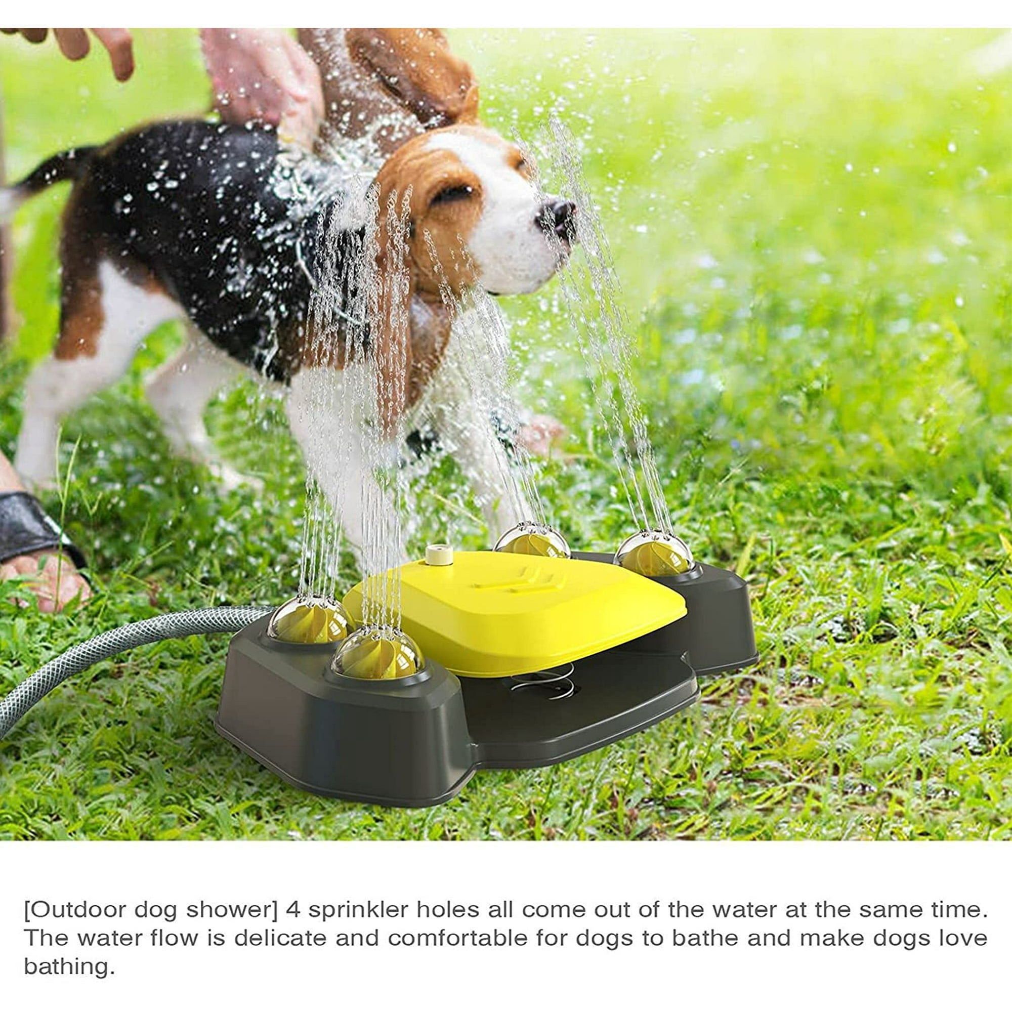 Dog water sprinkler toy hotsell