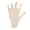thumbnail image 1 of Bearachild Estatua de hueso de mano de Halloween, escultura de jardín, manualidades de aprendizaje de ciencia Artesanía Bearachild HA061563-00, 1 of 6