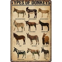 Metal tin Sign Types of Donkey Posters-Donkey Knowledge Poster Retro Wall Decor for Home Bathroom Garden Man Cave Bars Restaurants Cafes Office Store Sign 12" X 8"