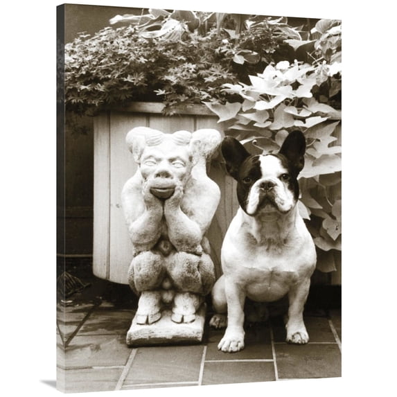 Global Gallery's 'Friends' By Jim Dratfield Stretched Canvas Wall Art